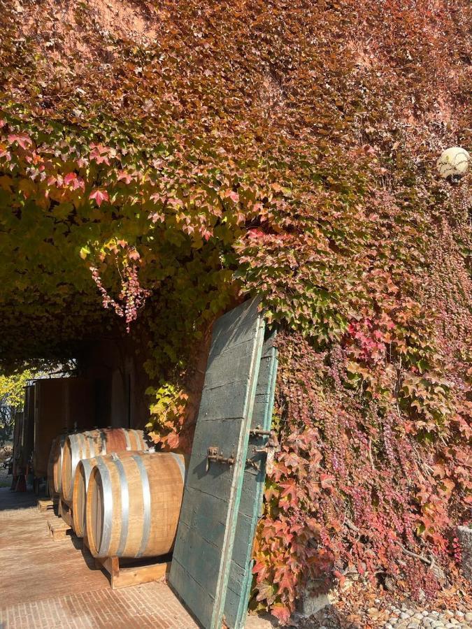 Tenuta Pizzone Wine Resort Rivanazzano Terme Ngoại thất bức ảnh
